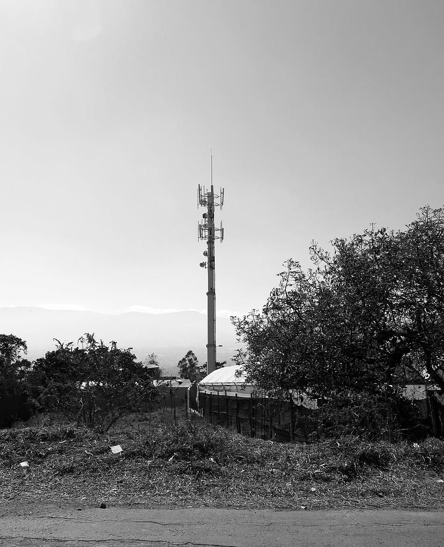 tower, cables, electricity, sky, plant, tree, communication HD wallpaper