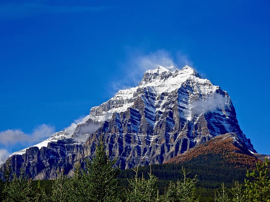 mountain, forest, peak, clouds, landscape, natural, nature HD wallpaper