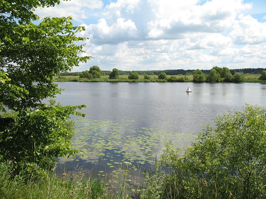 river, dubna, ratmino, plant, water, tree, cloud - sky, scenics - nature HD wallpaper