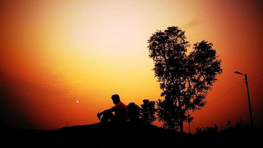 alone, sunset, beach, travel, lonely, peace, silhouette, tree HD wallpaper