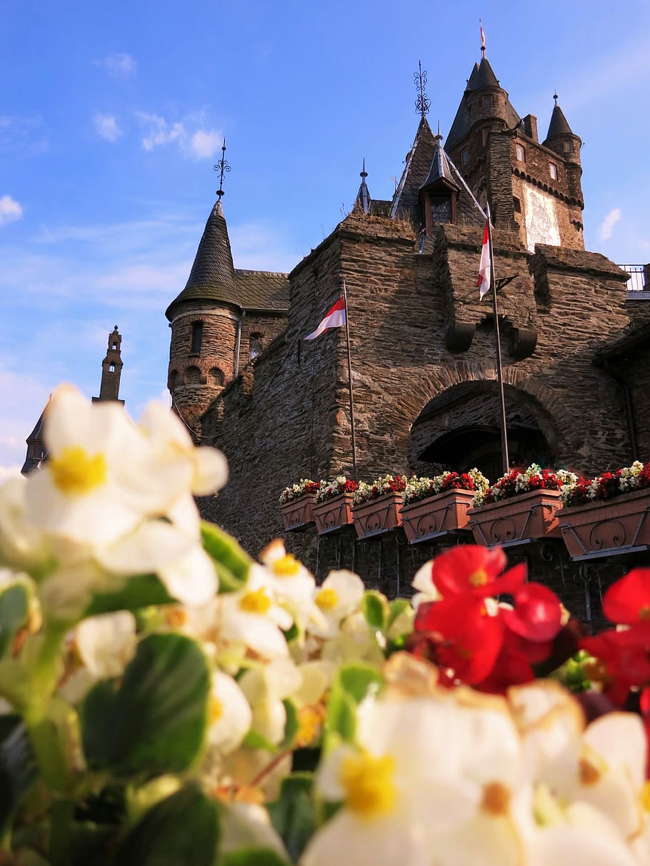 Cochem, Mosel, Keep, reichsburg cochem, tourist attraction HD wallpaper