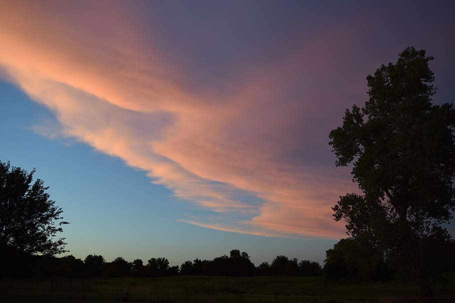 sky, sunset, clouds, pink, blue, colorful, summer, shadow, tree HD wallpaper