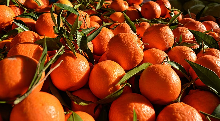 oranges, fruit, beauty, orange color, food, food and drink HD wallpaper