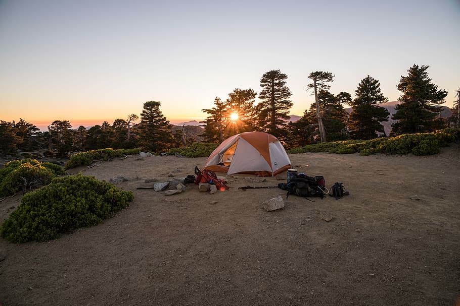 beige and orange dome tent near trees during golden hour, tent on field near trees during sunset HD wallpaper