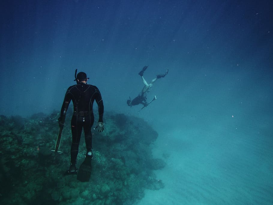men freediving on coral reefs, two scuba divers holding spearguns, HD wallpaper