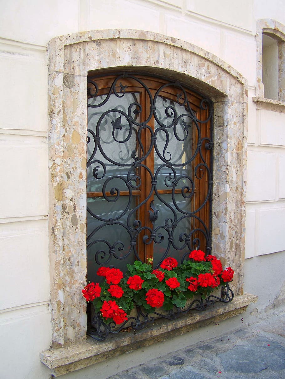 old window, rustic, architecture, mood, flower, flowering plant HD wallpaper