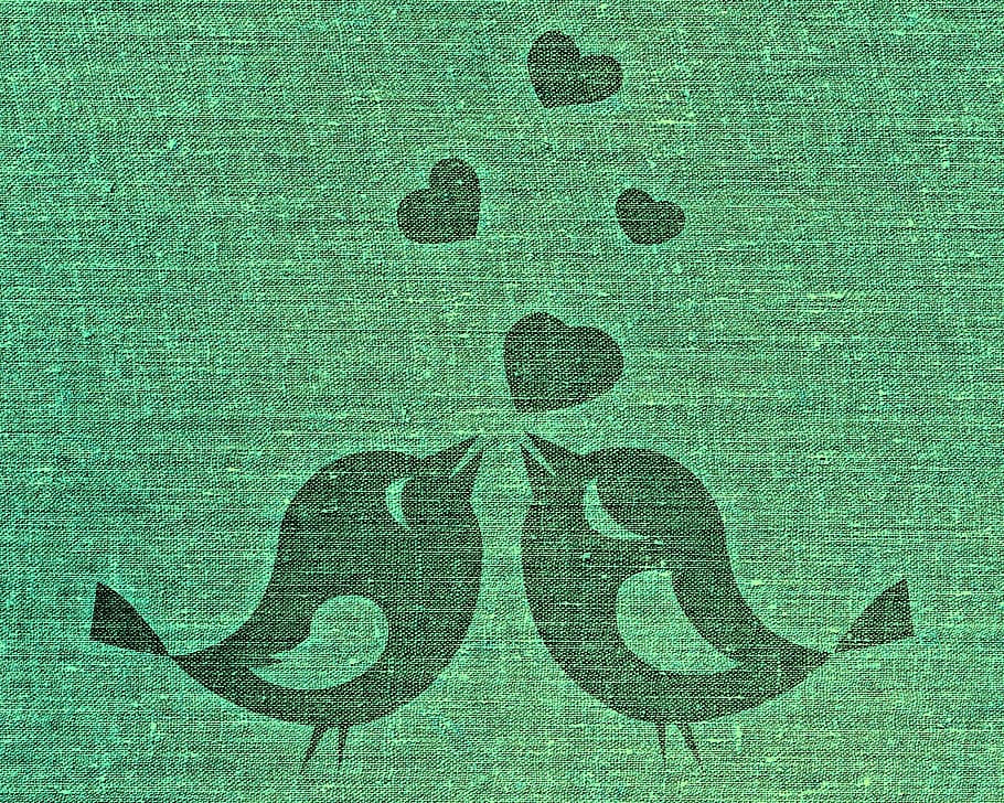 green textile, birds, pair, love, tissue, fabric, feather, lovers HD wallpaper