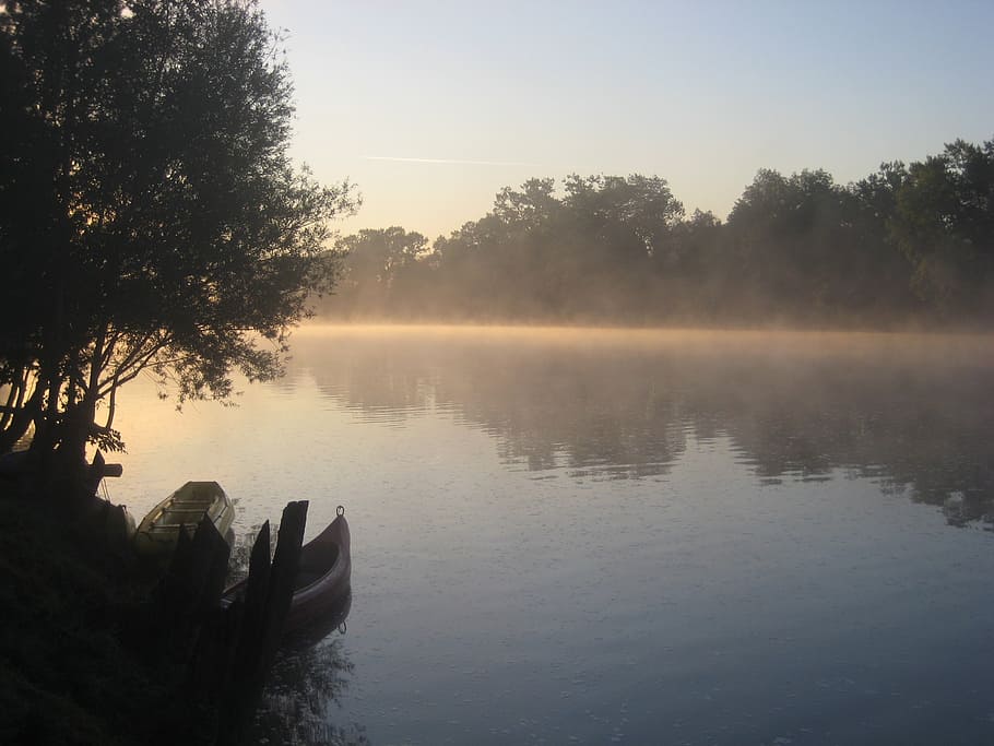silhouette photo of forest and body of water during daytime HD wallpaper
