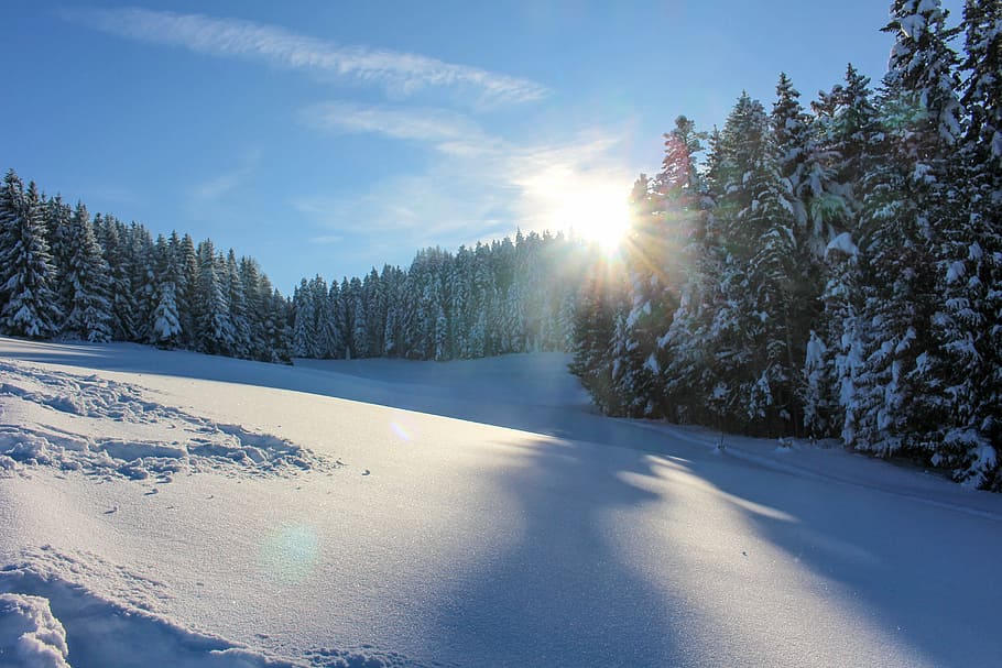 snow, sun, tree, winter, nature, forest, landscape, frost, mountain HD wallpaper