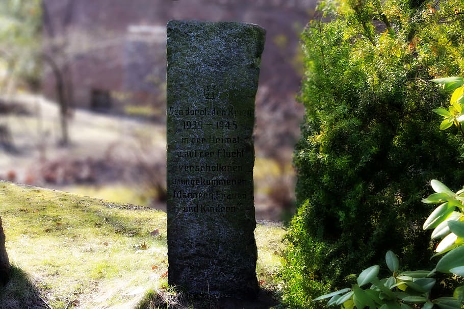 memorial stone, world war, ww2, wwii, fallen, plant, tombstone, HD wallpaper