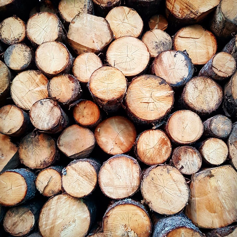 wood, abstract, trees, timber, log, firewood, lumber industry HD wallpaper