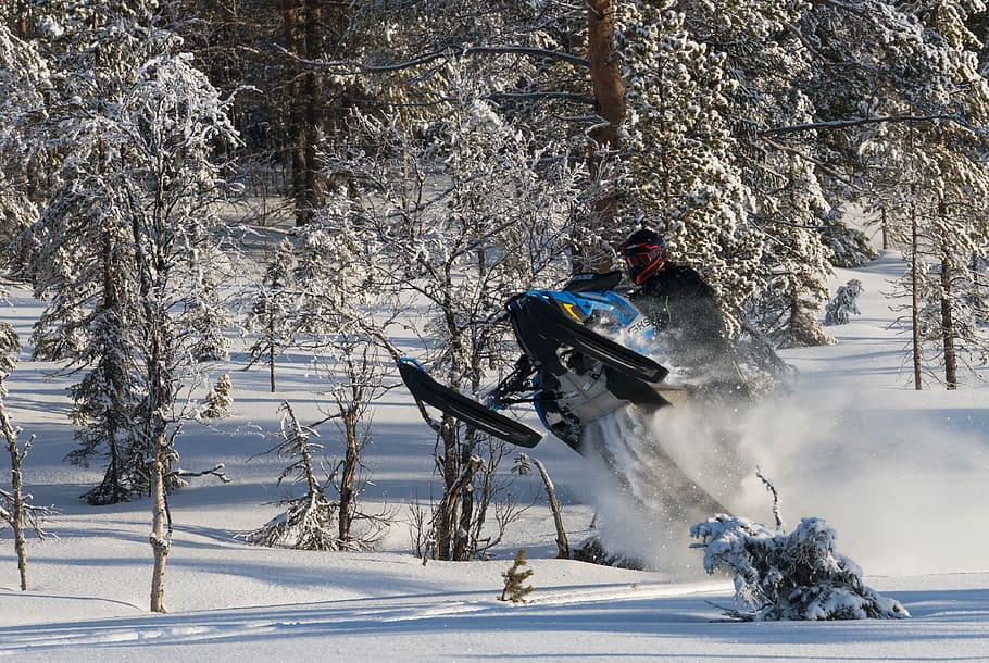 snowmobile, winter, cold temperature, tree, day, mountain, winter sport HD wallpaper