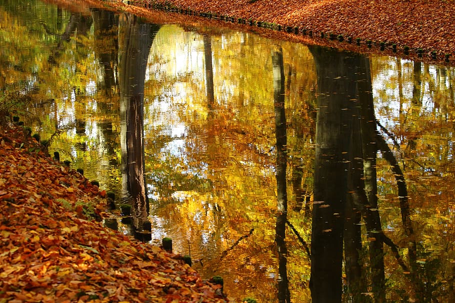 Water, Mirroring, Reflections, autumn, tree, channel, nature HD wallpaper