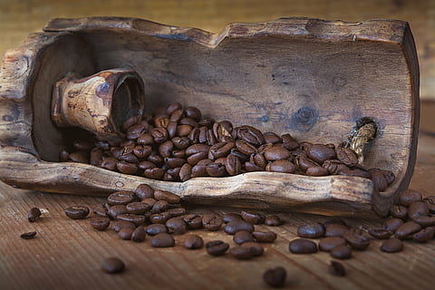 selective focus photography of coffee beans in brown wooden container HD wallpaper