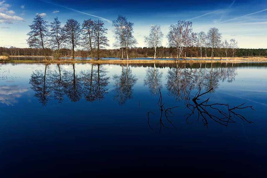 water, trees, landscape, blue, spring, sky, nature, waldsee HD wallpaper