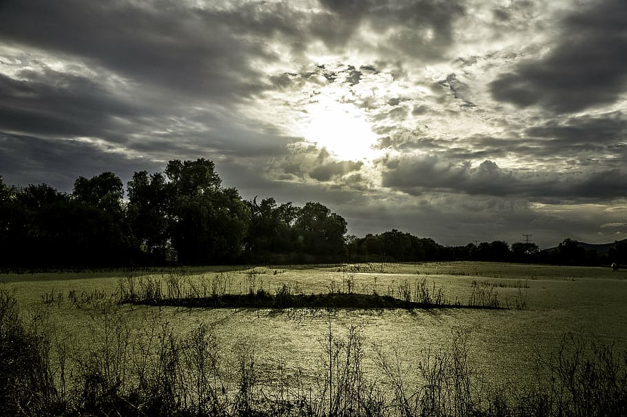 landscape, cloudy, water, peace, field, clouds, sky, afternoon HD wallpaper