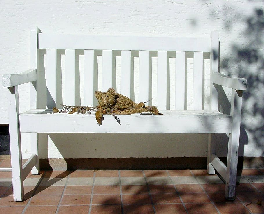 garden bench, bank, sit, rest, seat, chair, no people, one animal HD wallpaper