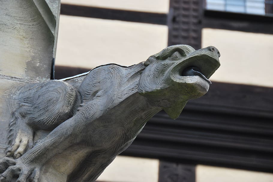 architecture, gargoyle, stone figure, flow, close up, fash HD wallpaper