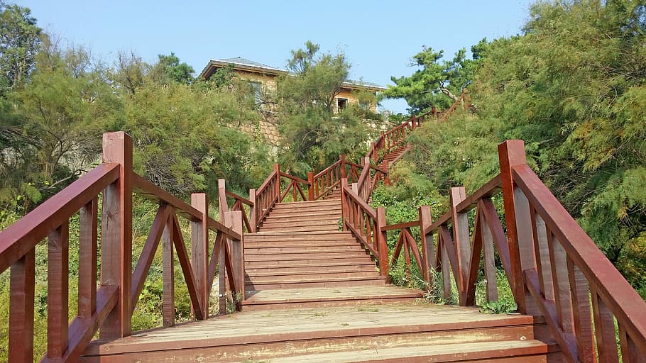Road, Stairs, Bending, no people, outdoors, day, tree, sky HD wallpaper