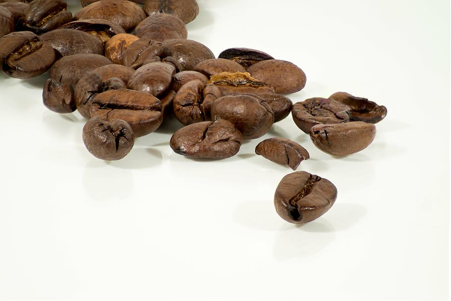 coffee, arabica beans, caffeine, fresh, bridge, rosta, mala HD wallpaper