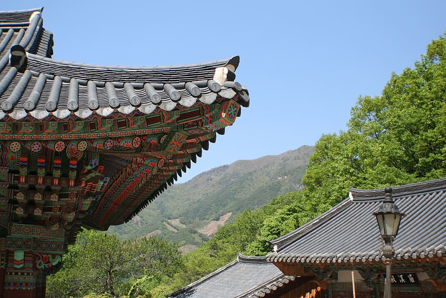 korea, buddhist temple, tranquil, architecture, building exterior HD wallpaper