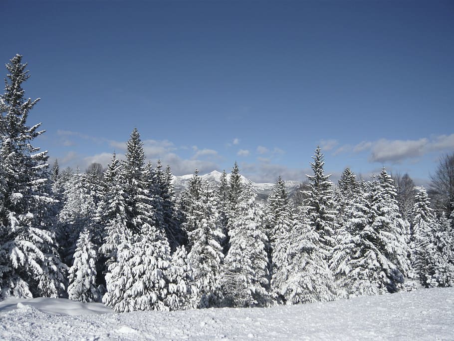 Snow, Mountains, Wintry, Winter, Alpine, mittenwald, mountain panorama HD wallpaper