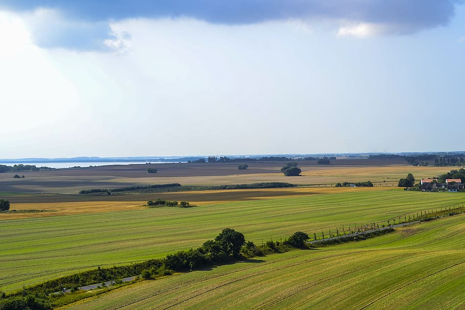 landscape, reported, nature, green, vision, environment, tranquil scene HD wallpaper