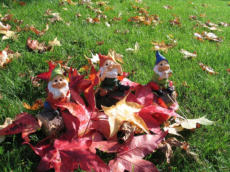 Gnome, Dwarf, Nature, Leaf, Garden, leaves, decoration, color HD wallpaper