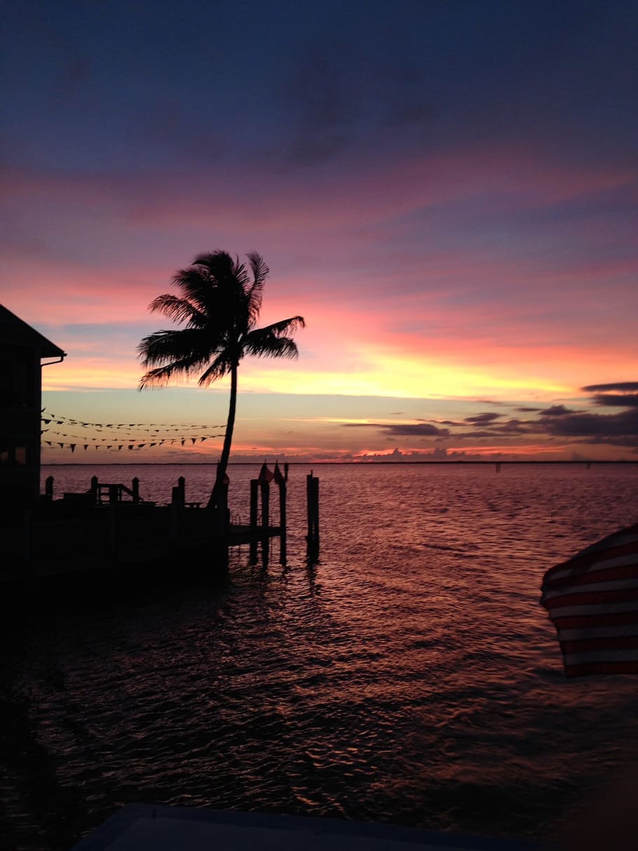 Sunset, Colors, Palm Tree, Orange, sky, yellow, evening, scenic HD wallpaper