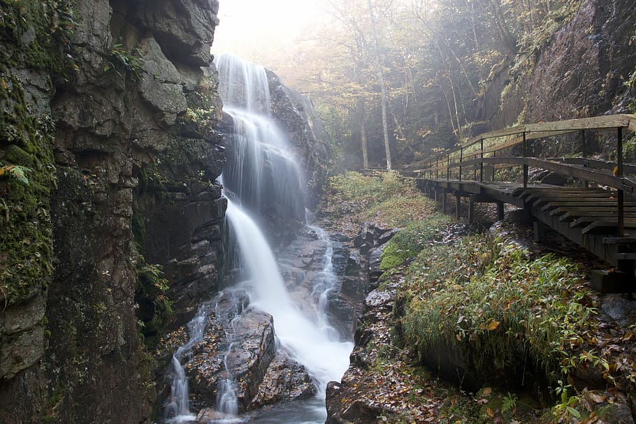 nature, rocks, stream, waterfall, tree, scenics - nature, forest HD wallpaper