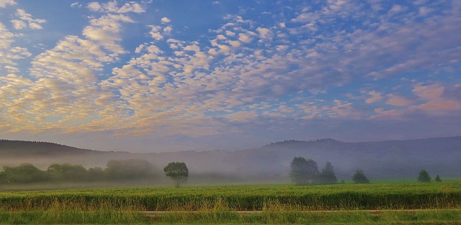 fog, fleecy, landscape, germany, nature, morning mist, hispanic HD wallpaper