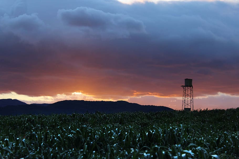sky, cloud, landscape, nature, rural, field, farm, agriculture HD wallpaper