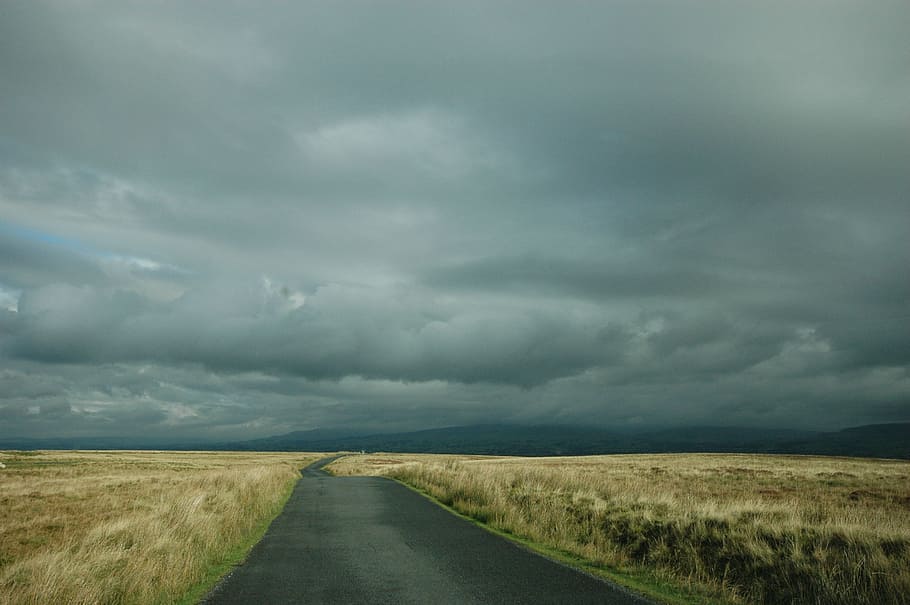 gray road between brown grass field under cloudy sky, long road HD wallpaper