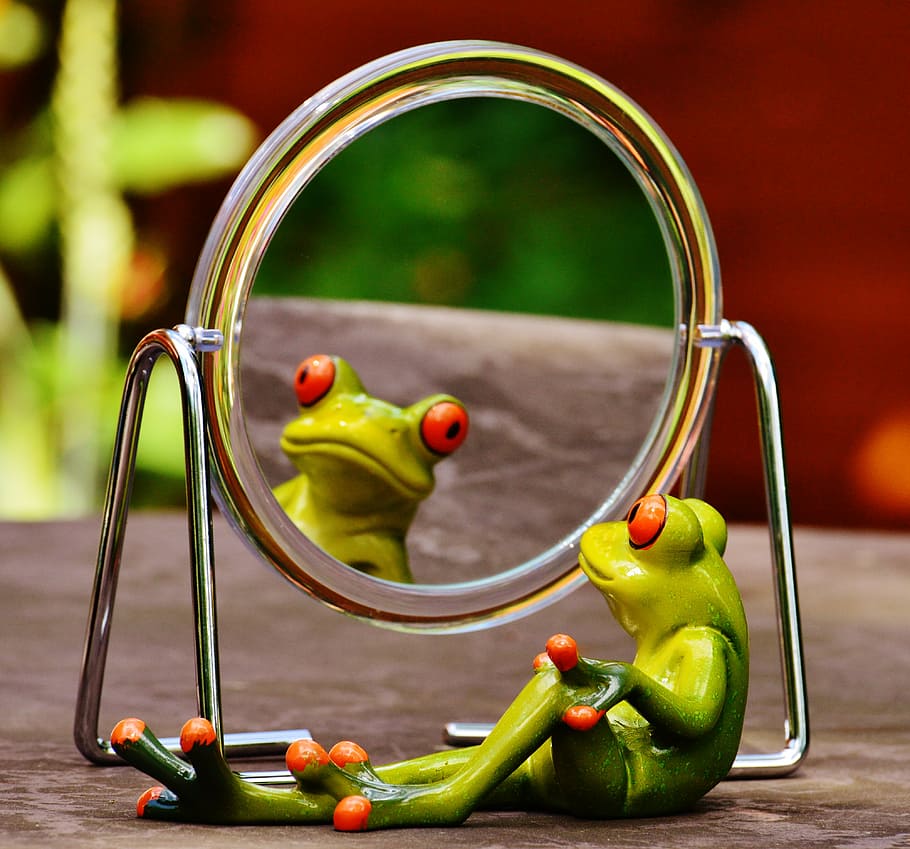 green frog looking in the mirror, mirror image, mirroring, cute HD wallpaper