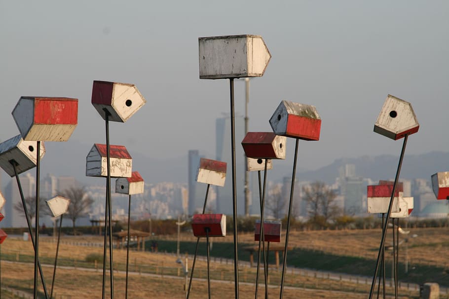 red-and-white birdhouse on green field, scenery, mail box, tidings HD wallpaper