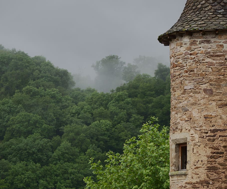 castle, medieval, architecture, built structure, tree, plant HD wallpaper
