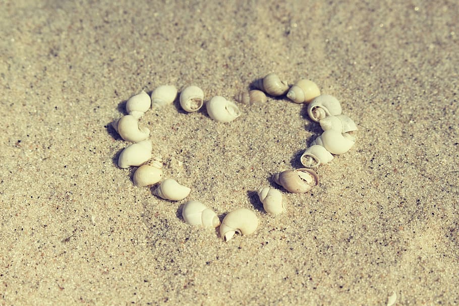 beach, sand, the coast, seashell, shoreline, ocean, sandy, heart HD wallpaper