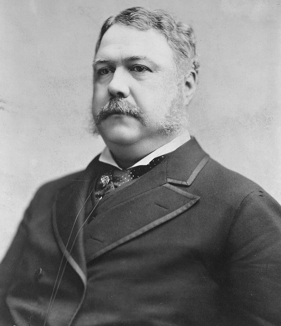 Chester A. Arthur Portrait, chester a arthur, photo, president