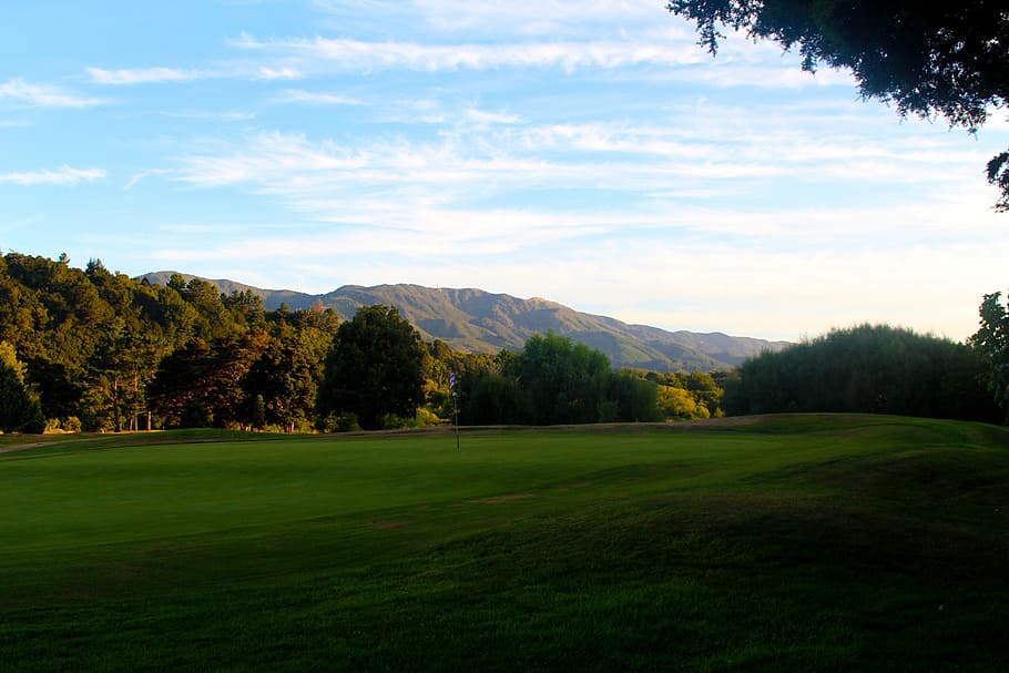 golf field surrounded by forest at daytime, golf course, new zealand