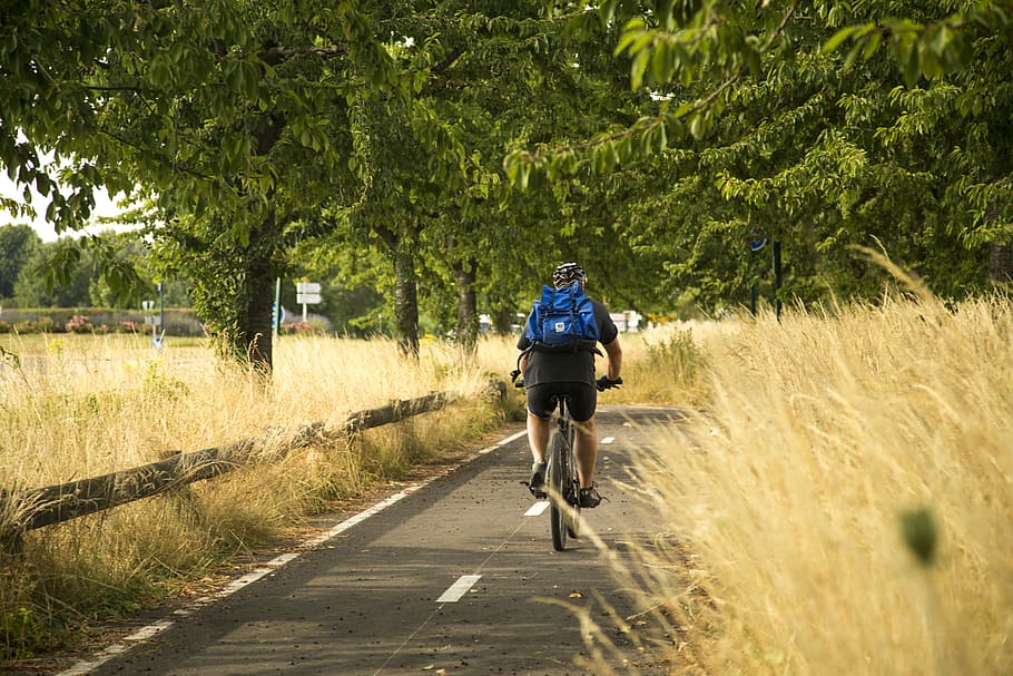 man riding on bicycle near green trees at daytime, Chandler, Motion, HD wallpaper