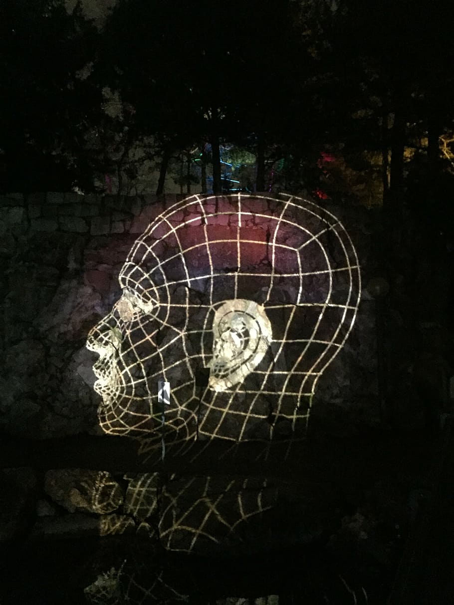 head, light, skull, structure, night, artwork, surreal, black background HD wallpaper