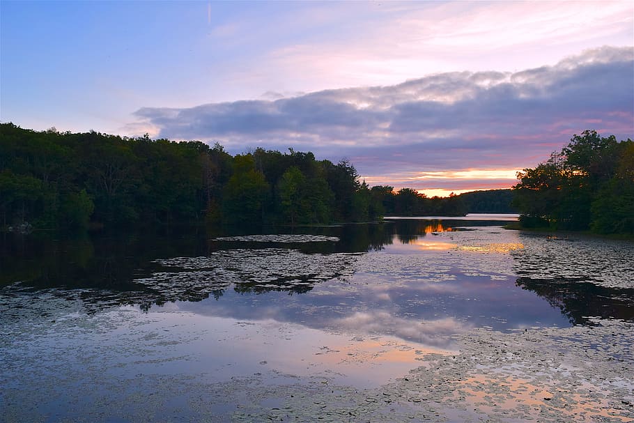 lake, sunset, park, forest, water, sky, nature, landscape, summer HD wallpaper