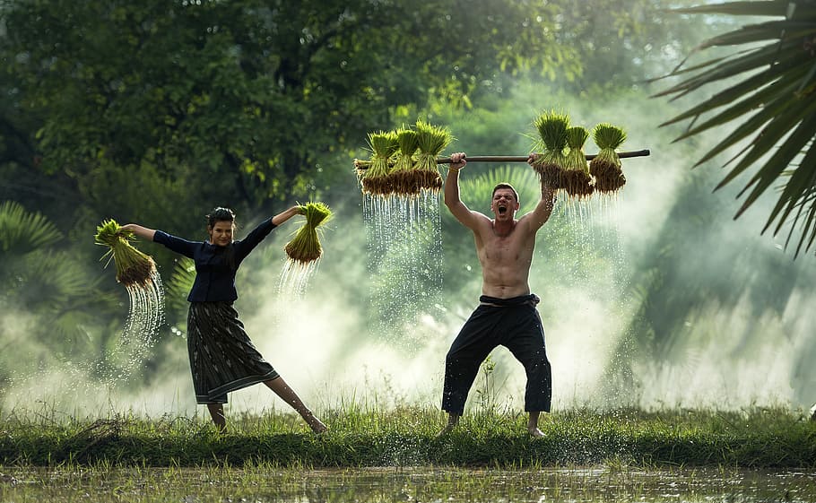 man and woman carrying green leaf plants on grass field, for pets