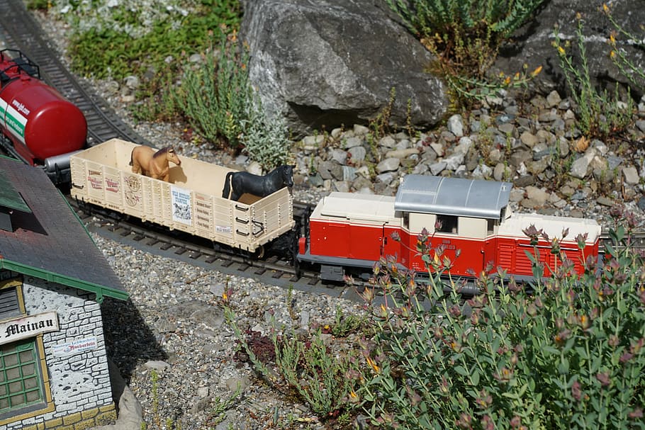 Miniature, Railway, Nature, Train, transport, seemed, mainau HD wallpaper