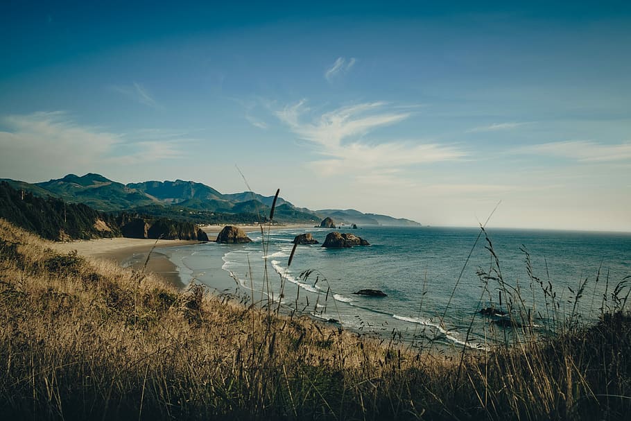 landscape photo of gray sand beach, brown grass field near shoreline during daytime, HD wallpaper