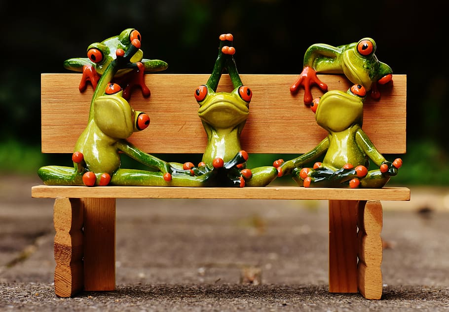 frogs, yoga, bank, bench, relaxed, figure, funny, rest, relaxation HD wallpaper