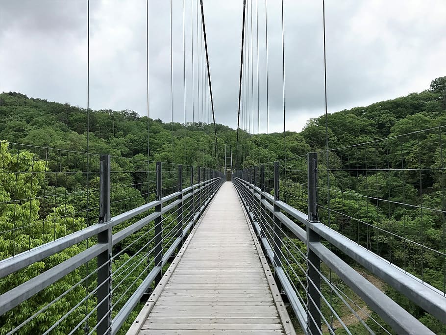 Bridge, Woods, Sky, cloud - sky, connection, bridge - man made structure HD wallpaper