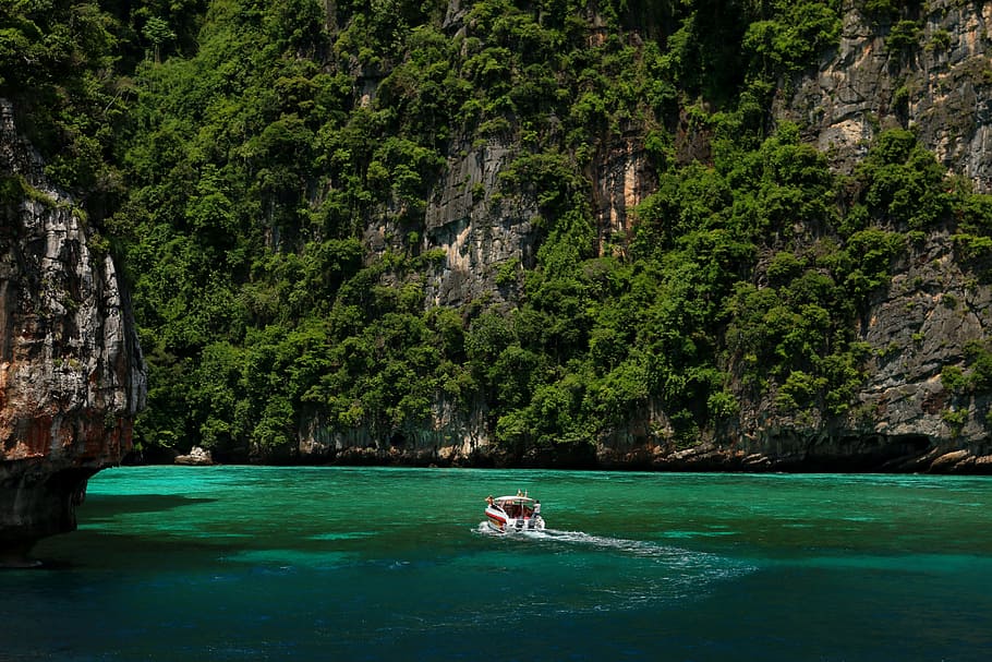 HD wallpaper: phi phi islands, krabi, thailand, water, tree, waterfront ...