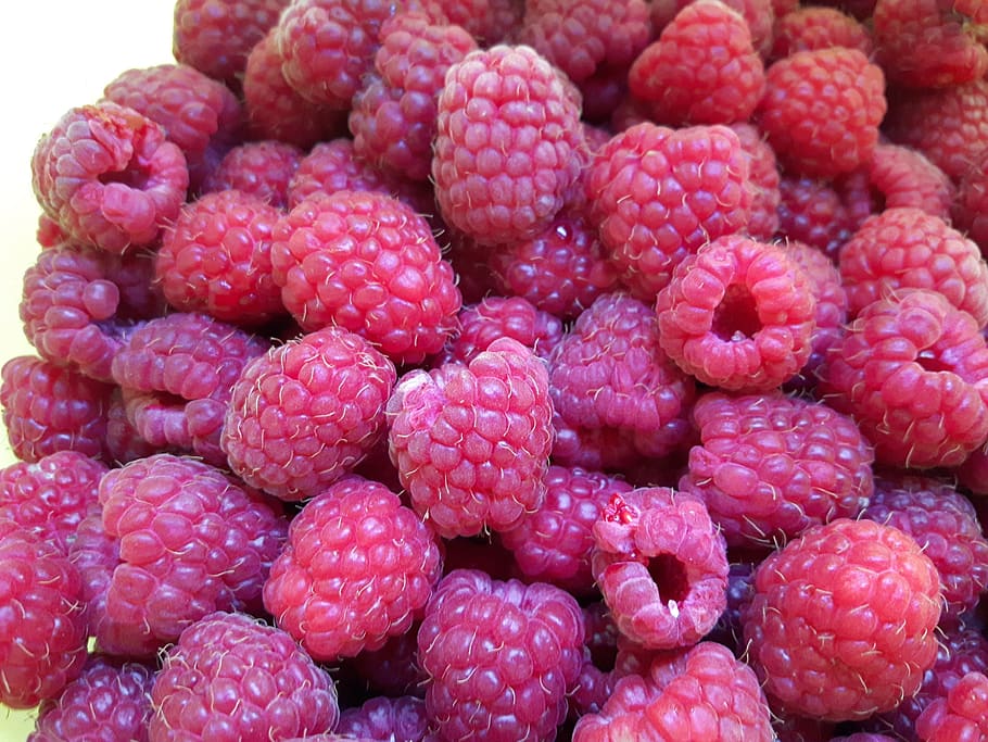 raspberry, fruit, fruits, healthy eating, food, food and drink HD wallpaper