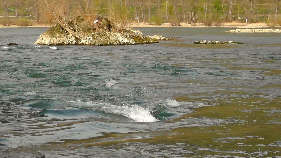 rapids, rhine, flow, foaming, river, rock, nature, water, landscape HD wallpaper